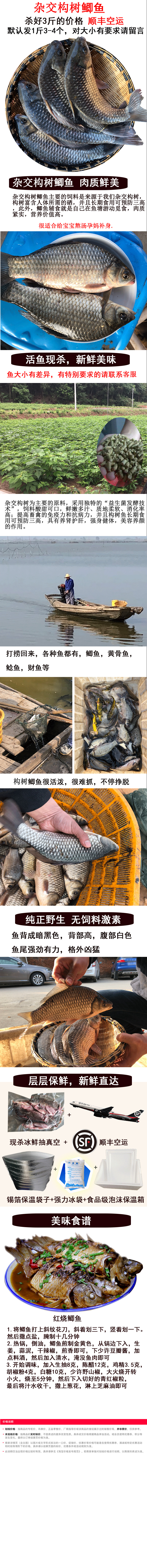 鲫鱼详情页.jpg